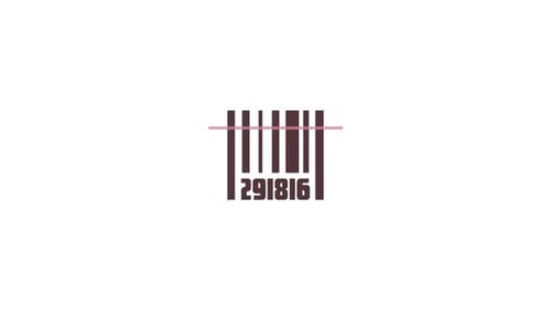 Barcode Product Authentication symbol icon animation video