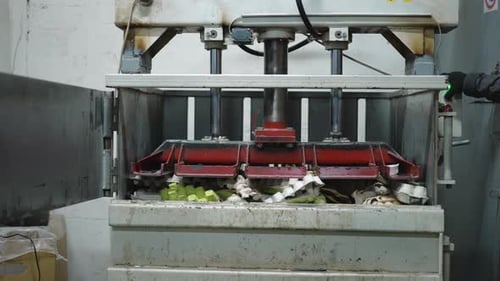 Front View Hydraulic Press Machine Pressing Empty Used Paper Egg Packing Boxes Industrial Equipment