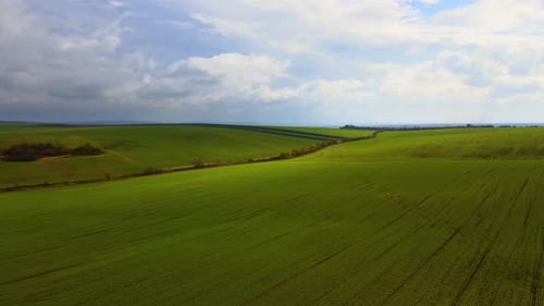 Aerial View of Bright Green Agricultural Field in Early Spring