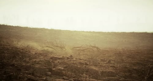 Dry Landscape with Sparse Vegetation Under a Hazy Sky in the Early Evening