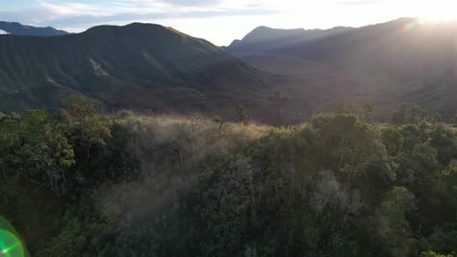 Aerial View of Forested Mountains at Sunrise