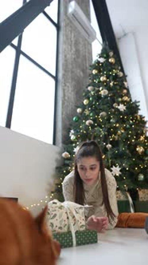 Girl with Her Dog in Christmas Setting