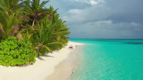 Paradise White Sand Beach Turquoise Ocean Green Palm Trees and Blue Sky with Clouds on a Sunny Day