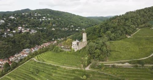 Aerial view of Strahlenburg Castle, Germany.