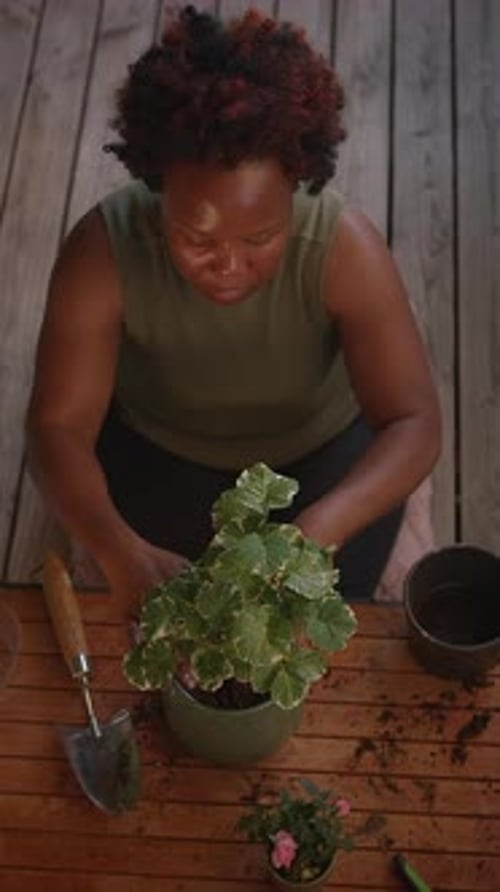 The Joy of Indoor Gardening Nurturing Your Plants with Tender Care and Attention