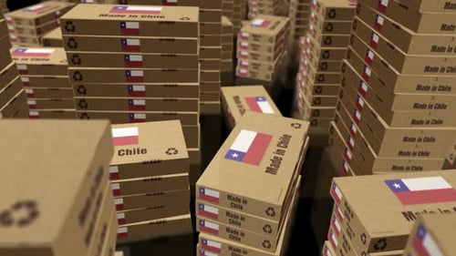 Made in Chile box pack loop
