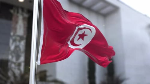 Realistic 3D Animation of Waving Tunisian Flag