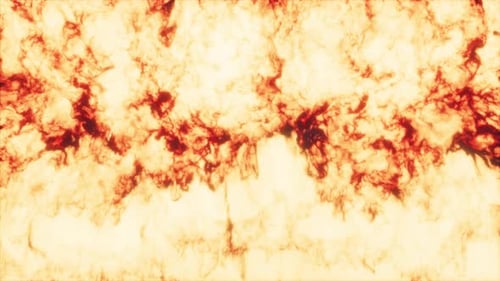 Dynamic Realistic Fire Flames Animated Transition Loop
