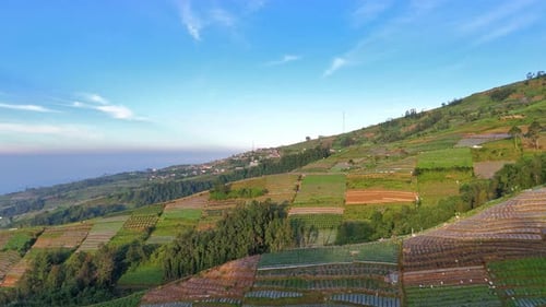Drone footage of sloped agricultural fields stretching across the hillside under clear blue sky,