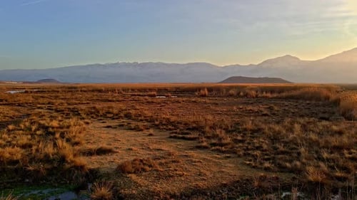 Reeds in Mountain Scenery