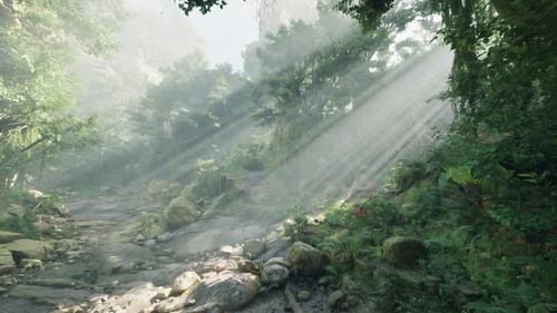 Sunlight Streaming Through a Forest Landscape