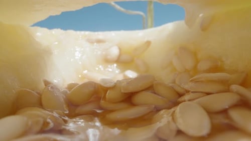 À l'intérieur du melon, des graines et un morceau se trouvent sur le dessus. Caméra à l'intérieur. Dolly Slider, très gros plan
.