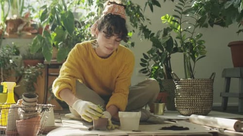 Woman Repotting Houseplant at Home