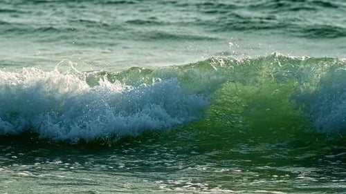 Breaking Ocean Wave on Sunset