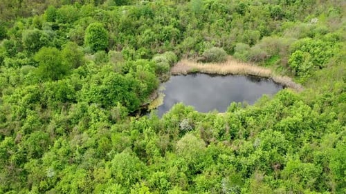Aerial of a small lake surrounded dense green forest. Panning parallax drone shot.