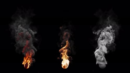 Set of three fire burning variants. File contains Alpha Channel.