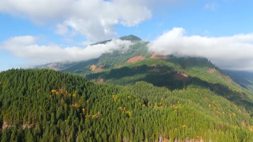 Aerial View of Colourful Forest on Mountain Slopes and Cloudy Sky Canada