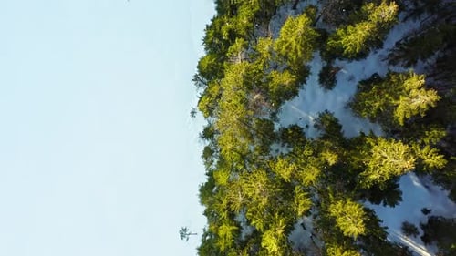 Snowy Carpathians forest on Tatra mountains, aerial backward. Copy space on snow