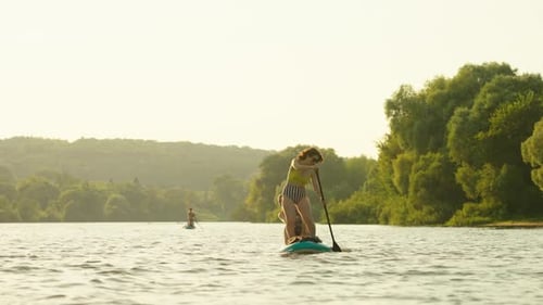 Active Pastime In Summertime People Practicing Stand Up Paddle Boarding In River In Summertime