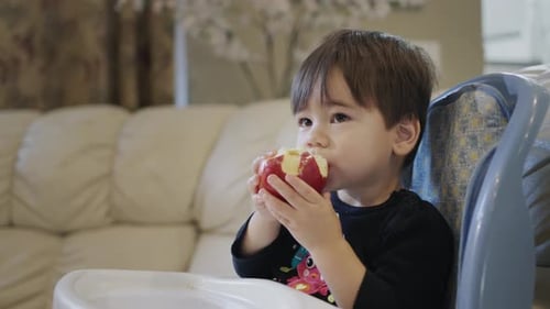 Toddler Boy Eats a Red Apple Indoors