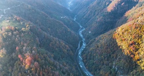 River Flowing Through Forest Valley – Aerial Nature Footage