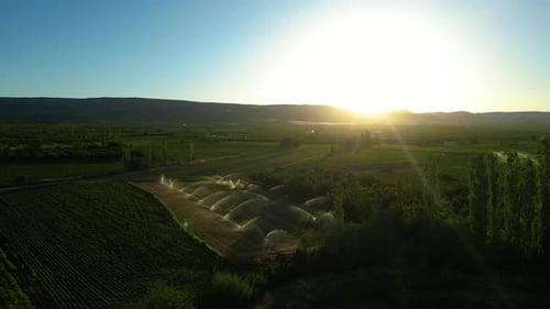 Automatic irrigation systems are used in agricultural fields