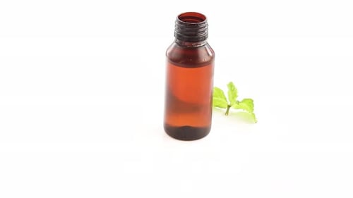 mint extract oil in a yellow bottle with single bunch of fresh mint leaves rotating 360 degree side