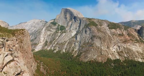 Pine tree forest growing between the mountains of Yosemite, USA. Huge cliff rocks in the rays