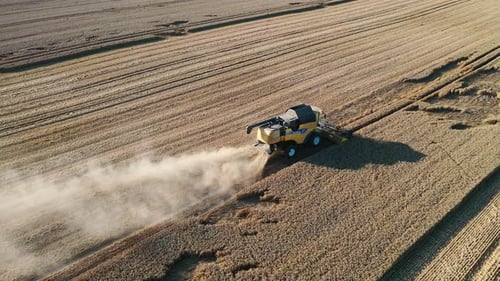 Luftaufnahme einer Drohne, die an einem sonnigen Tag über dem Erntemähdrescher auf dem Feld fliegt