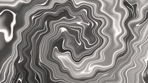 Dynamic Abstract Liquid Black and White Morphing Lines Background Loop