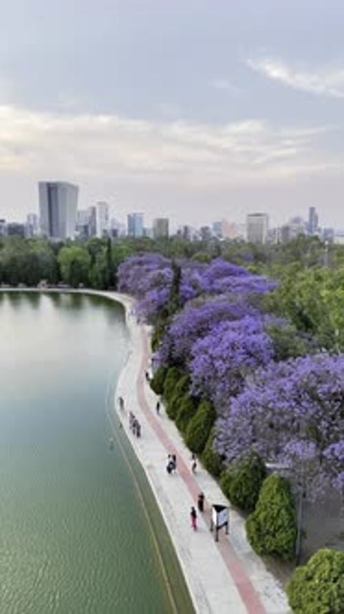 Vista aérea del parque urbano con lago y árboles, México.