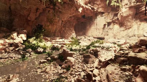 View From Inside a Dark Cave