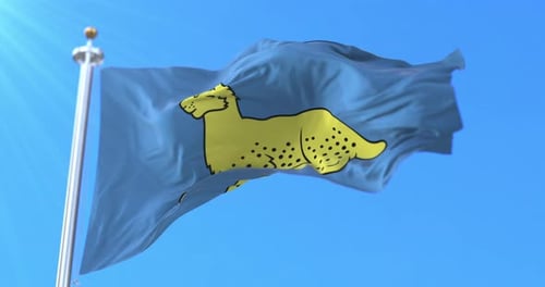 Flagge der Stadt Gomel, Weißrussland