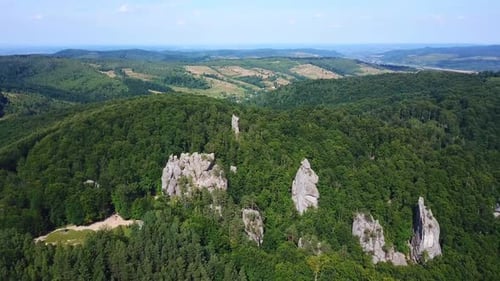 Beautiful drone panoramic view of green forest on the mountains