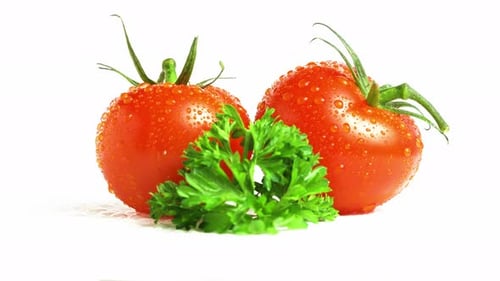 Fresh Tomatoes with Parsley Glistening on White