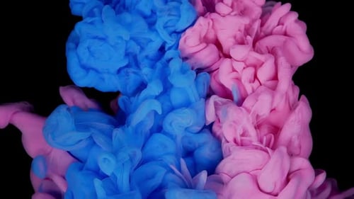 Swirling Blue and Pink Ink Plumes on Black