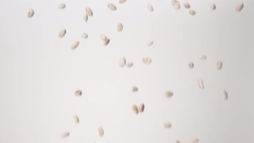 Getrocknete rohe Pintobohnen Frijoles Refried Mexikanischer Regen, Zeitlupe, weißer Hintergrund, fallend, Nahaufnahme