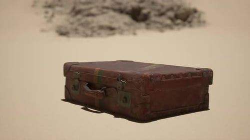 A Piece of Luggage Sitting on Top of a Sandy Beach
