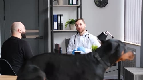 A Dog and Its Owner in a Veterinary Clinic A Large Purebred Dog is Sitting on the Table