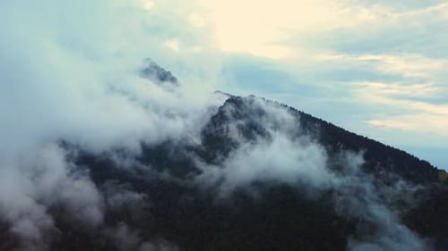 Flying Through the Thick Fog in the Mountain Landscape After the Rain