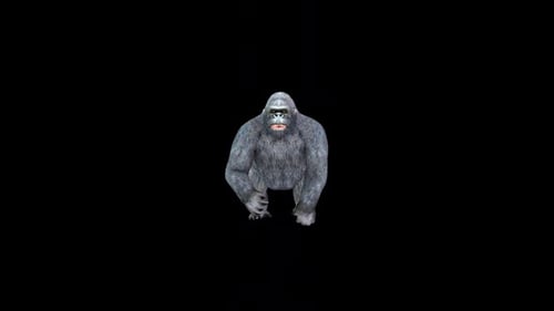 Gorilla Run Front