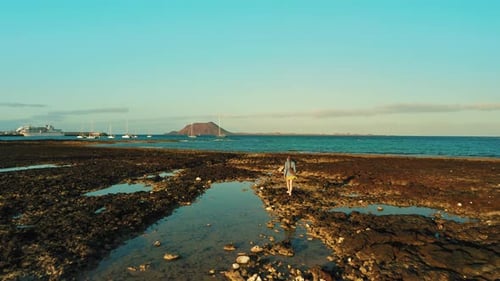 Aerial View of a Lonely Woman Walking Along the Stone Rocky Beach