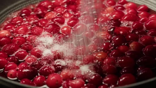 Frozen Cranberries Cooking for Tea or Jam Background Close Up of Cranberry Berries in on the Kitchen