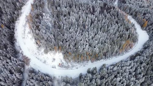 Aerial Shot of a Winter Forest and Winding Road Covered with Snow Between Fir Trees