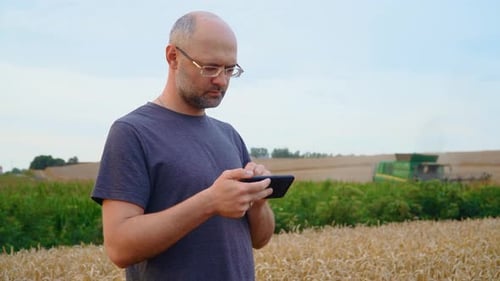 Man Using Smartphone in Golden Wheat Field