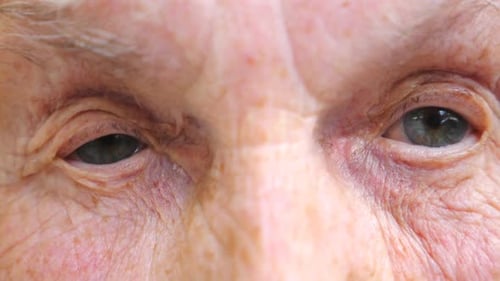 Elderly Woman Watching Into Camera and Strongly Screwing Up Her Eyes Close Up of Wrinkled Female