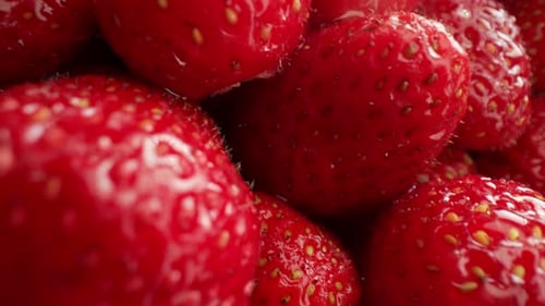 Hintergrund mit roten reifen Erdbeeren aus biologischem Anbau, natürliche saftige Beeren, Makrotextur
