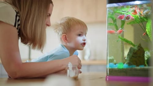 Mother with Young Boy Looks Closely at Aquarium Filled with Colorful Fish