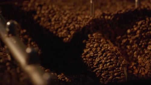 Coffee beans rotating in roasting machine, workshop production