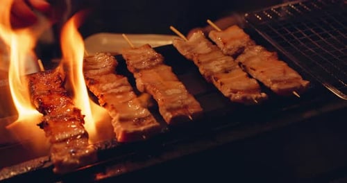 Street food, fire and hands with meat, person and healthy with Asian cuisine